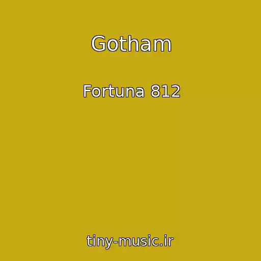 کاور آهنگ Gotham از Fortuna 812