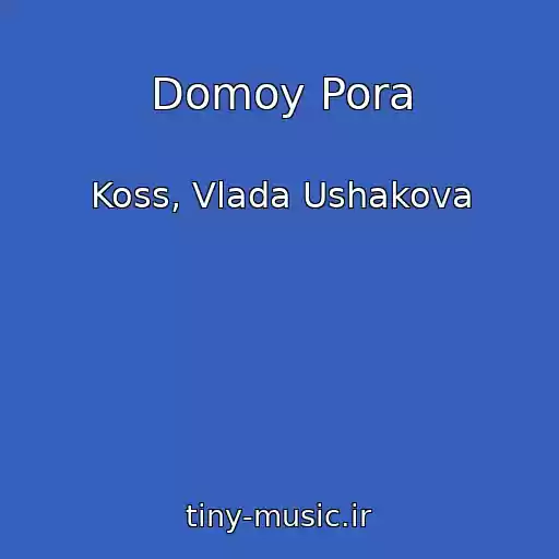 کاور آهنگ Domoy Pora از Koss, Vlada Ushakova