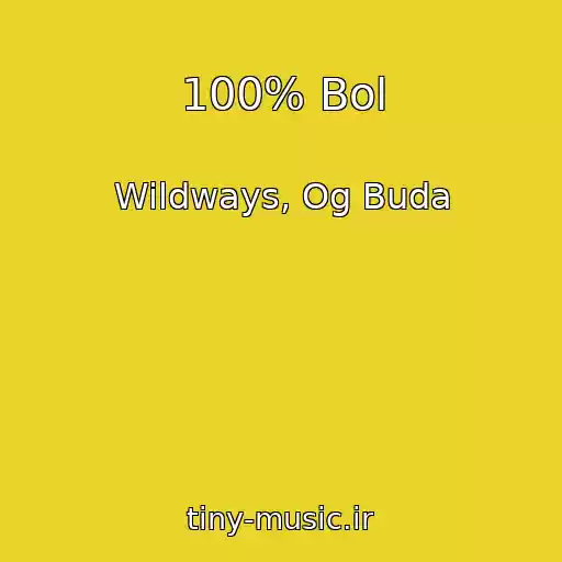 کاور آهنگ 100% Bol از Wildways, Og Buda