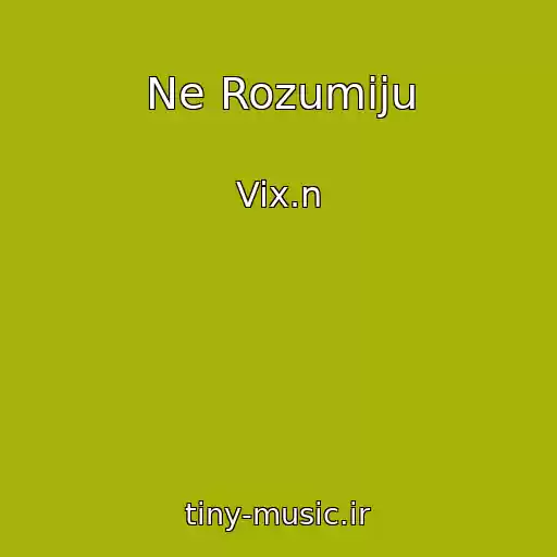 کاور آهنگ Ne Rozumiju از Vix.n