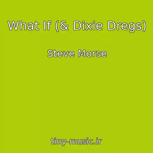 کاور آهنگ What If (& Dixie Dregs) از Steve Morse