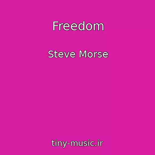 کاور آهنگ Freedom از Steve Morse