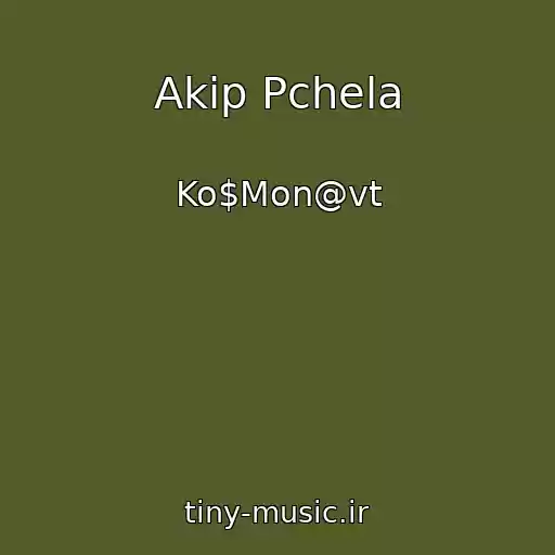 کاور آهنگ Akip Pchela از Ko$Mon@vt