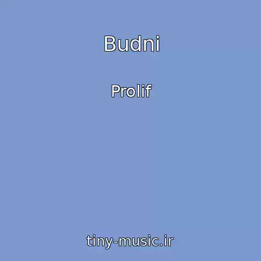 کاور آهنگ Budni از Prolif