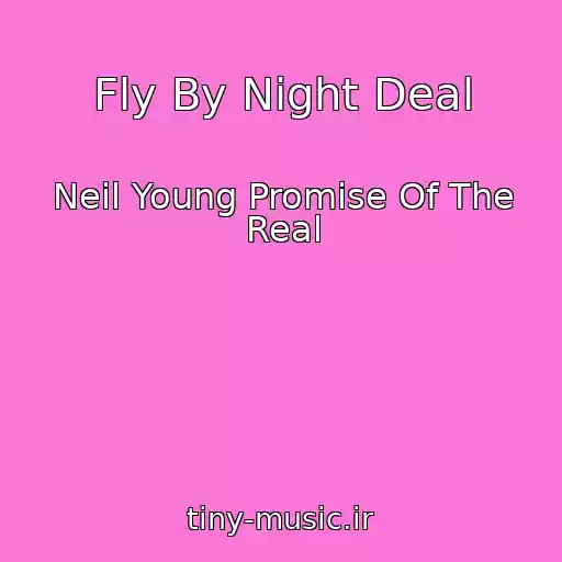 کاور آهنگ Fly By Night Deal از Neil Young Promise Of The Real