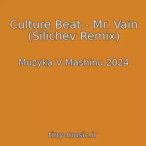کاور آهنگ Culture Beat - Mr. Vain (Silichev Remix) از Muzyka V Mashinu 2024