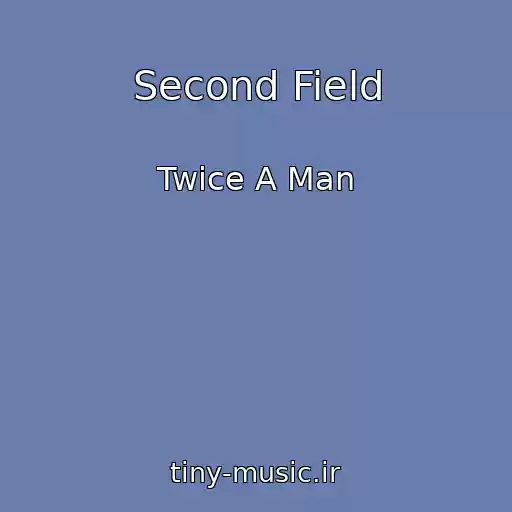 کاور آهنگ Second Field از Twice A Man
