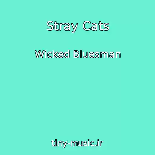 کاور آهنگ Stray Cats از Wicked Bluesman