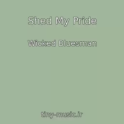 کاور آهنگ Shed My Pride از Wicked Bluesman