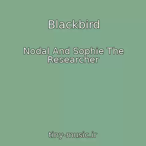 کاور آهنگ Blackbird از Nodal And Sophie The Researcher