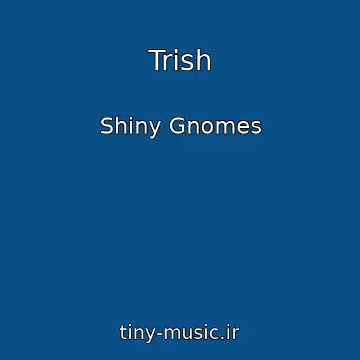 کاور آهنگ Trish از Shiny Gnomes