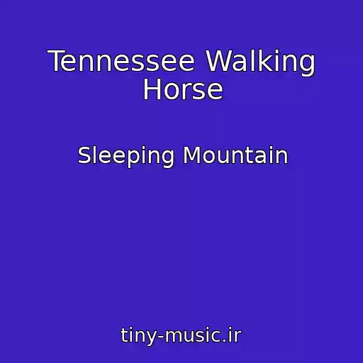 کاور آهنگ Tennessee Walking Horse از Sleeping Mountain