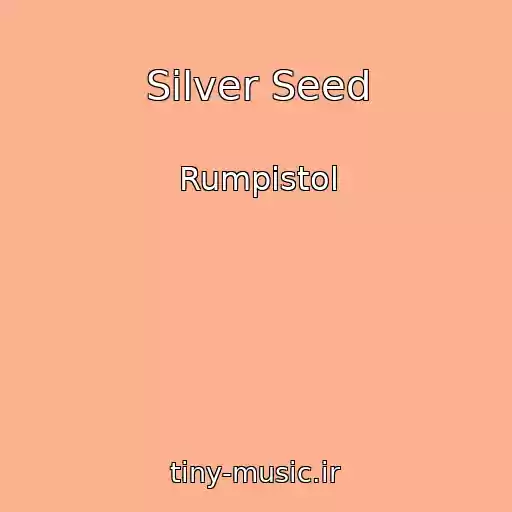 کاور آهنگ Silver Seed از Rumpistol