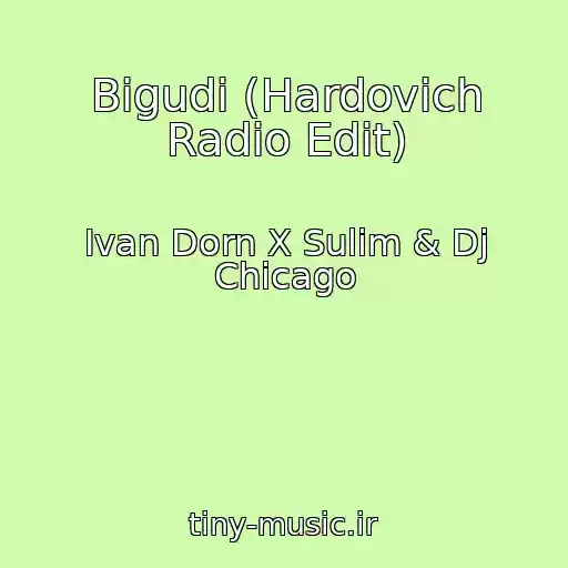کاور آهنگ Bigudi (Hardovich Radio Edit) از Ivan Dorn X Sulim & Dj Chicago