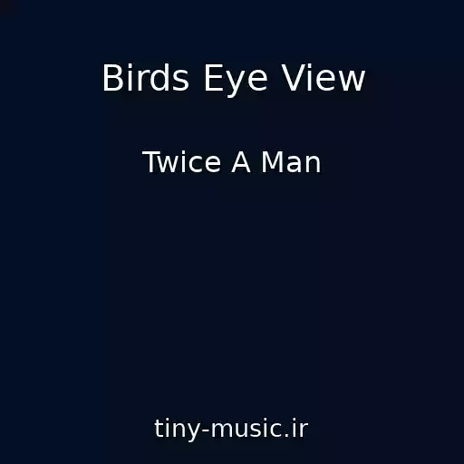 کاور آهنگ Birds Eye View از Twice A Man