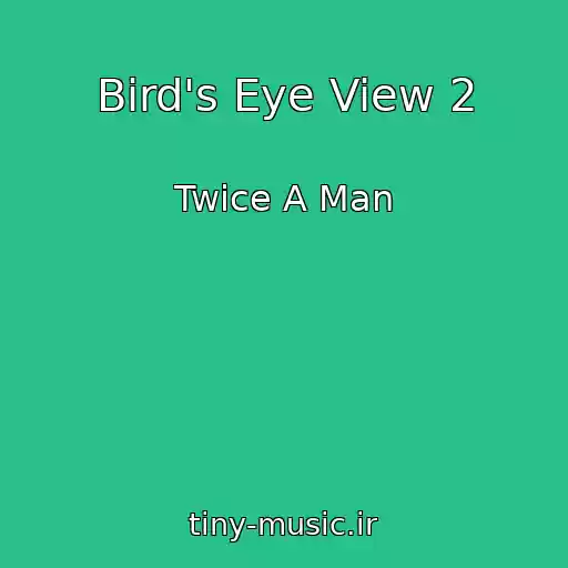 کاور آهنگ Bird's Eye View 2 از Twice A Man