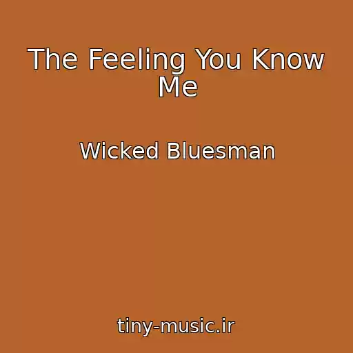 کاور آهنگ The Feeling You Know Me از Wicked Bluesman