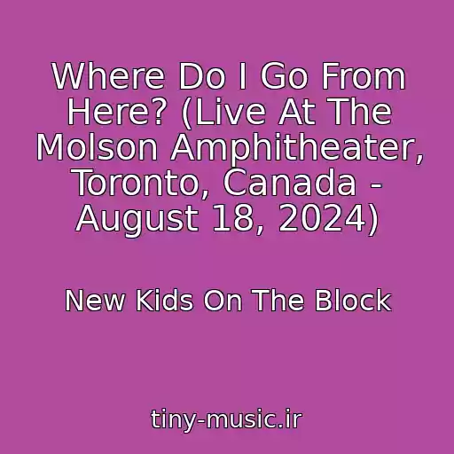 کاور آهنگ Where Do I Go From Here? (Live At The Molson Amphitheater, Toronto, Canada - August 18, 2024) از New Kids On The Block