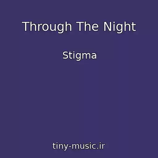 کاور آهنگ Through The Night از Stigma