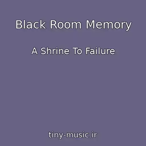 کاور آهنگ Black Room Memory از A Shrine To Failure