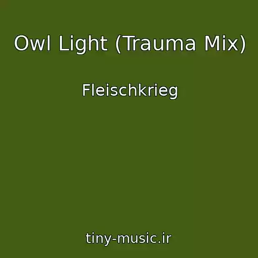 کاور آهنگ Owl Light (Trauma Mix) از Fleischkrieg