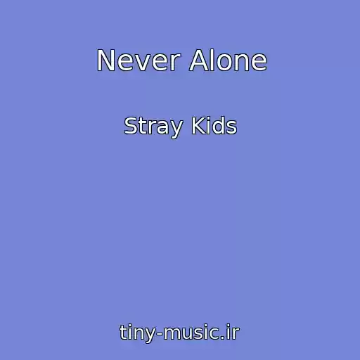کاور آهنگ Never Alone از Stray Kids