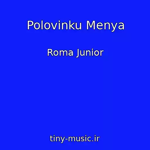 کاور آهنگ Polovinku Menya از Roma Junior