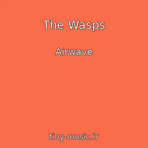 کاور آهنگ The Wasps از Airwave