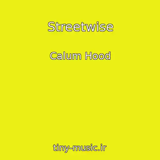 کاور آهنگ Streetwise از Calum Hood