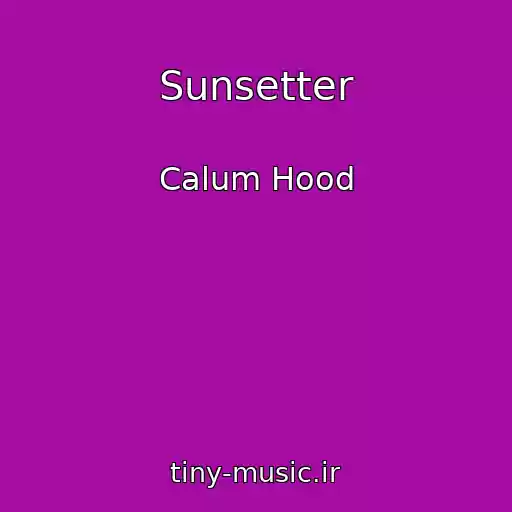 کاور آهنگ Sunsetter از Calum Hood