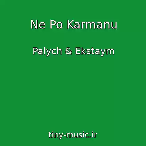 کاور آهنگ Ne Po Karmanu از Palych & Ekstaym