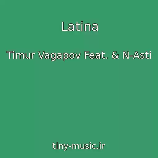 کاور آهنگ Latina از Timur Vagapov Feat. & N-Asti