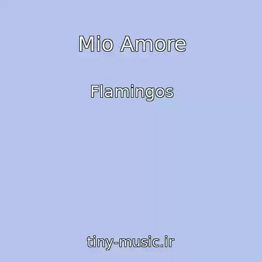 کاور آهنگ Mio Amore از Flamingos