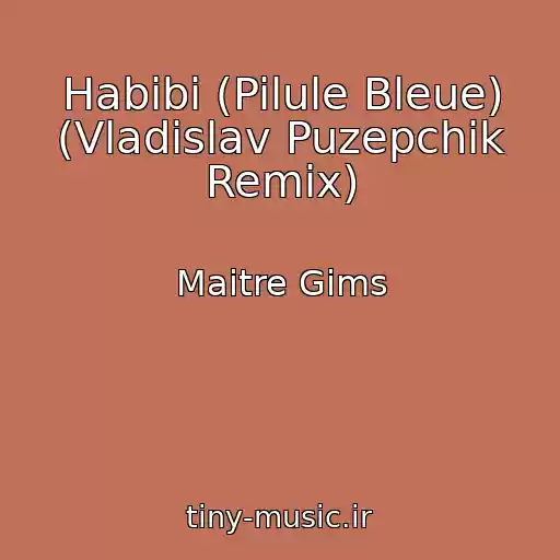 کاور آهنگ Habibi (Pilule Bleue) (Vladislav Puzepchik Remix) از Maitre Gims