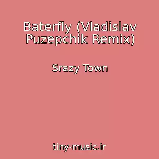 کاور آهنگ Baterfly (Vladislav Puzepchik Remix) از Srazy Town