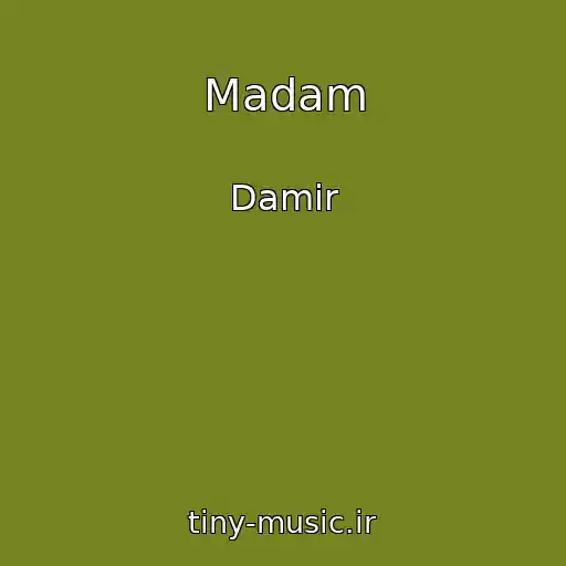 کاور آهنگ Madam از Damir