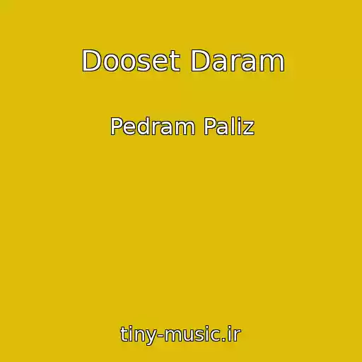 کاور آهنگ Dooset Daram از Pedram Paliz