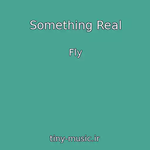 کاور آهنگ Something Real از Fly