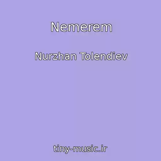 کاور آهنگ Nemerem از Nurzhan Tolendiev