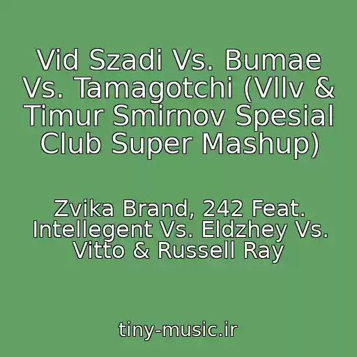 کاور آهنگ Vid Szadi Vs. Bumae Vs. Tamagotchi (Vllv & Timur Smirnov Spesial Club Super Mashup) از Zvika Brand, 242 Feat. Intellegent Vs. Eldzhey Vs. Vitto & Russell Ray