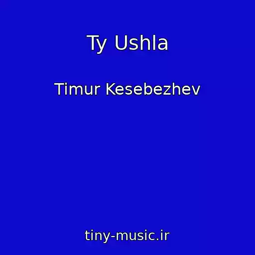 کاور آهنگ Ty Ushla از Timur Kesebezhev