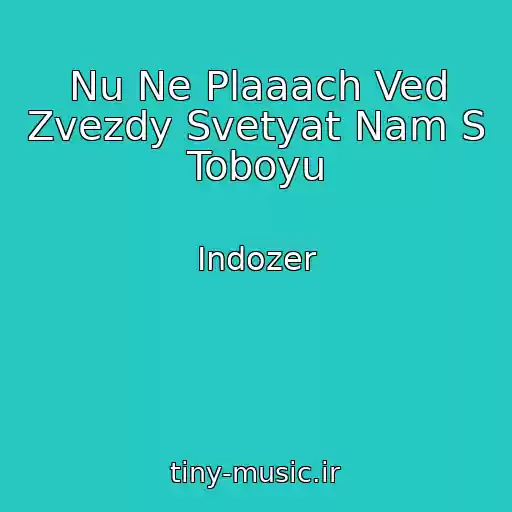 کاور آهنگ Nu Ne Plaaach Ved Zvezdy Svetyat Nam S Toboyu از Indozer