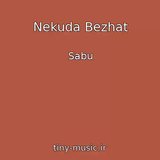 کاور آهنگ Nekuda Bezhat از Sabu