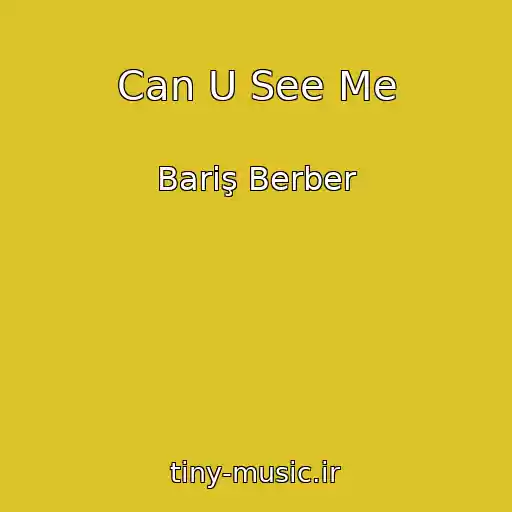 کاور آهنگ Can U See Me از Bariş Berber