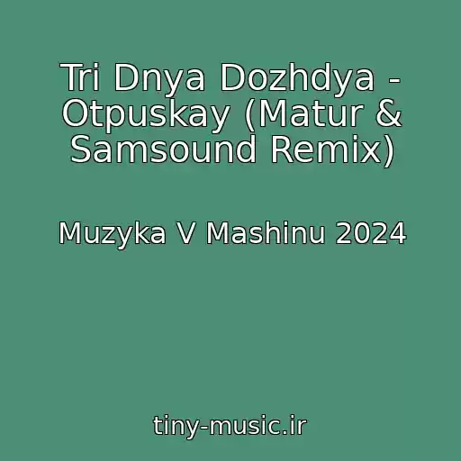 کاور آهنگ Tri Dnya Dozhdya - Otpuskay (Matur & Samsound Remix) از Muzyka V Mashinu 2024