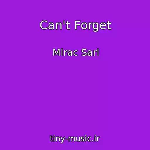 کاور آهنگ Can't Forget از Mirac Sari
