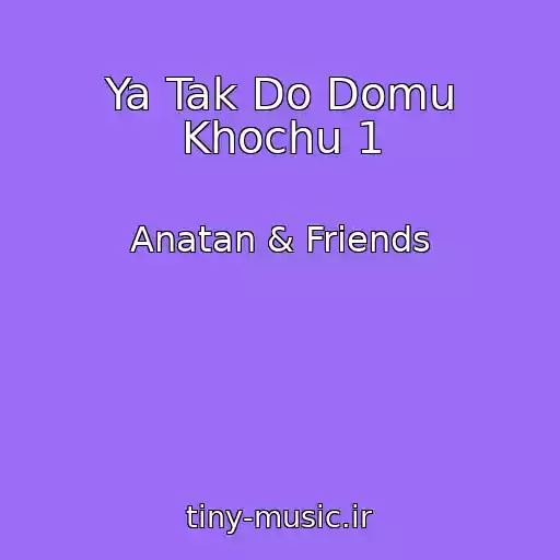 کاور آهنگ Ya Tak Do Domu Khochu 1 از Anatan & Friends