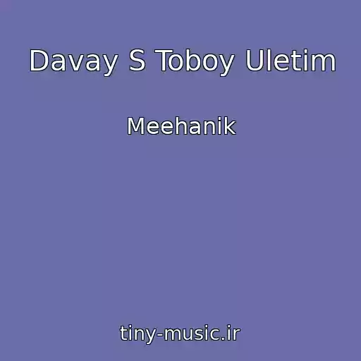کاور آهنگ Davay S Toboy Uletim از Meehanik