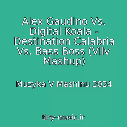 کاور آهنگ Alex Gaudino Vs. Digital Koala - Destination Calabria Vs. Bass Boss (Vllv Mashup) از Muzyka V Mashinu 2024