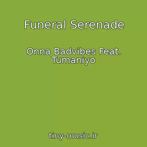 کاور آهنگ Funeral Serenade از Onna Badvibes Feat. Tumaniyo